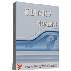 枫叶MKV视频转换器v16.5.0.0